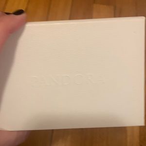 Pandora accessories set.